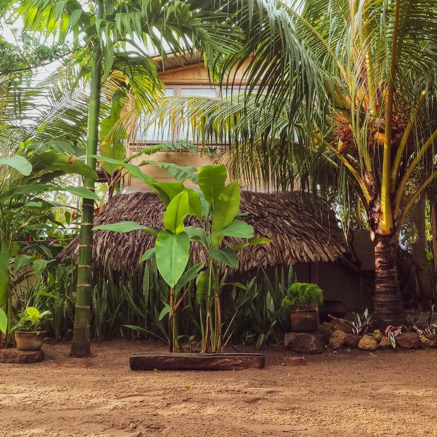 Monsoon Eco Resort - Whisky Point Arugambay Pottuvil Eksteriør bilde