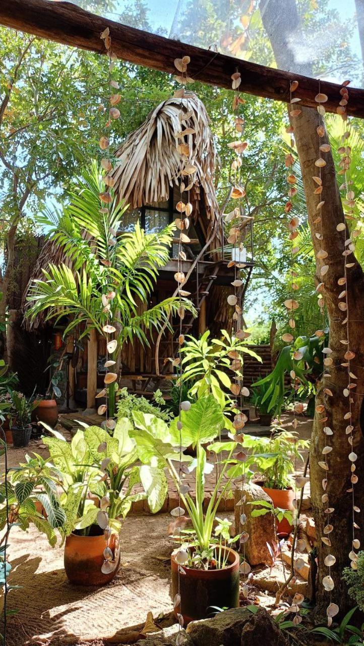 Monsoon Eco Resort - Whisky Point Arugambay Pottuvil Eksteriør bilde