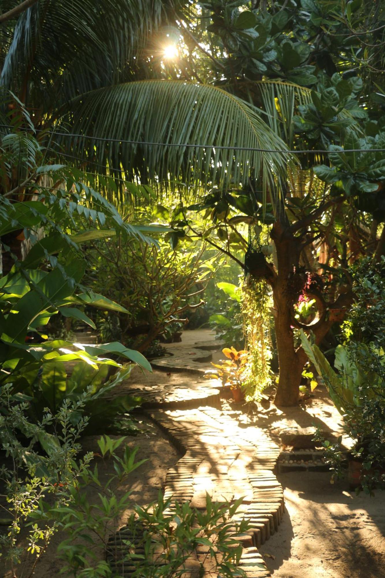 Monsoon Eco Resort - Whisky Point Arugambay Pottuvil Eksteriør bilde