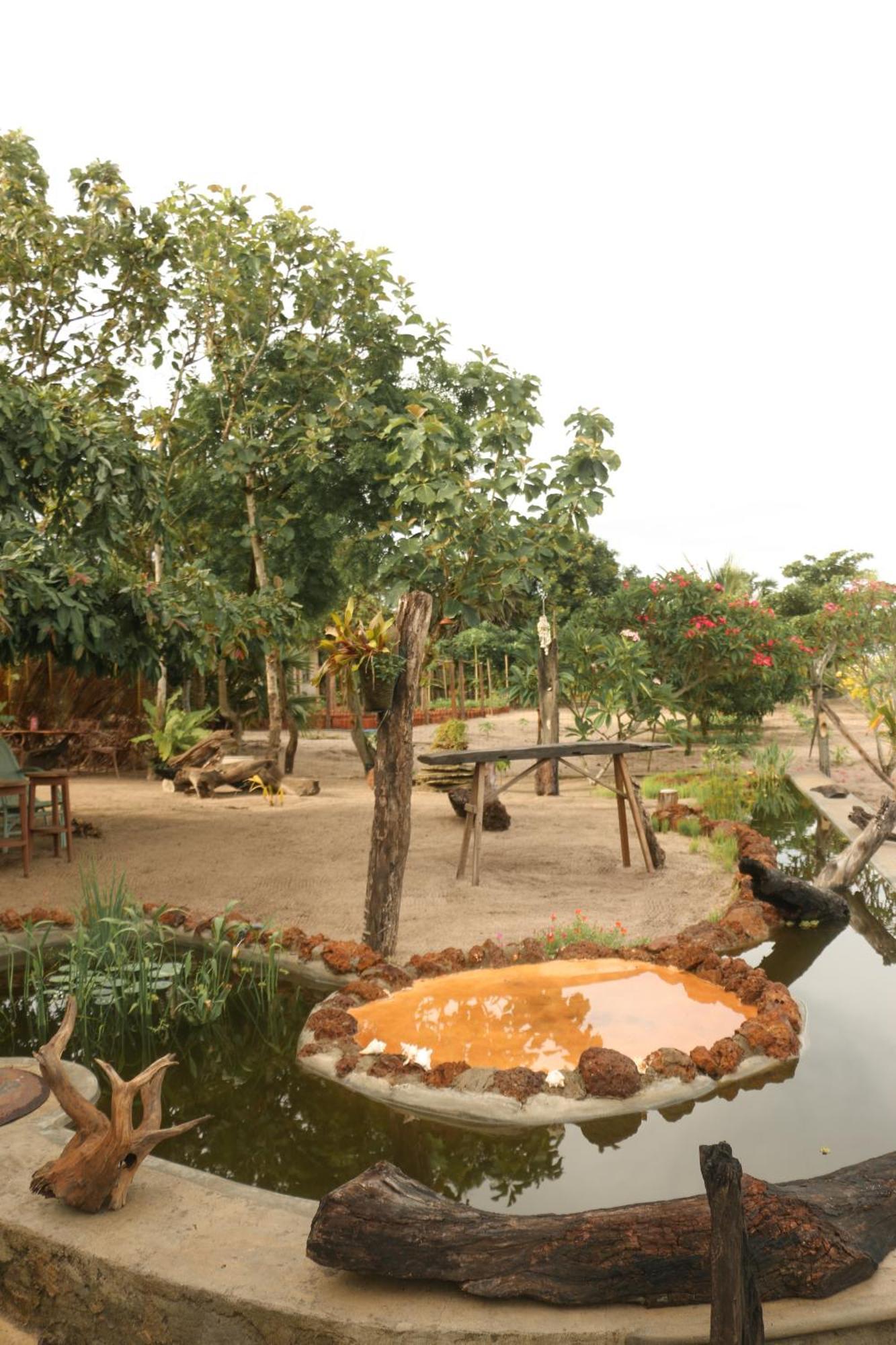 Monsoon Eco Resort - Whisky Point Arugambay Pottuvil Eksteriør bilde
